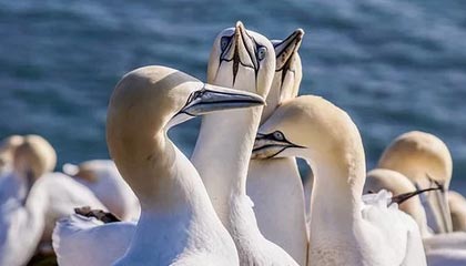 蔺永钧同志逝世