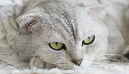 蔺永钧同志逝世