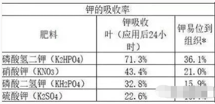 【果技精选】柑橘进入稳果期，果个小、膨果慢，怎么补救？三个措施让果实壮起来