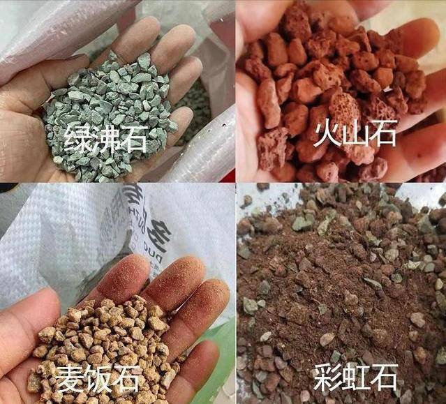 什么营养、腐叶土，都不如“这种土”，配土时放一些，从此不烂根
