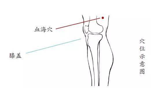 补虚养血利妇经，清利湿热助肾阳