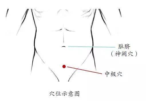 补虚养血利妇经，清利湿热助肾阳