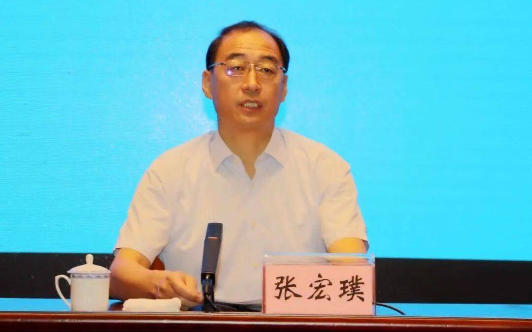张宏璞，被查