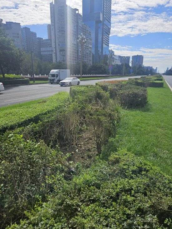 小米汽车失控起火司机遇难,目击者称车速150km/h,实探事故地:燃烧留下的印记仍在