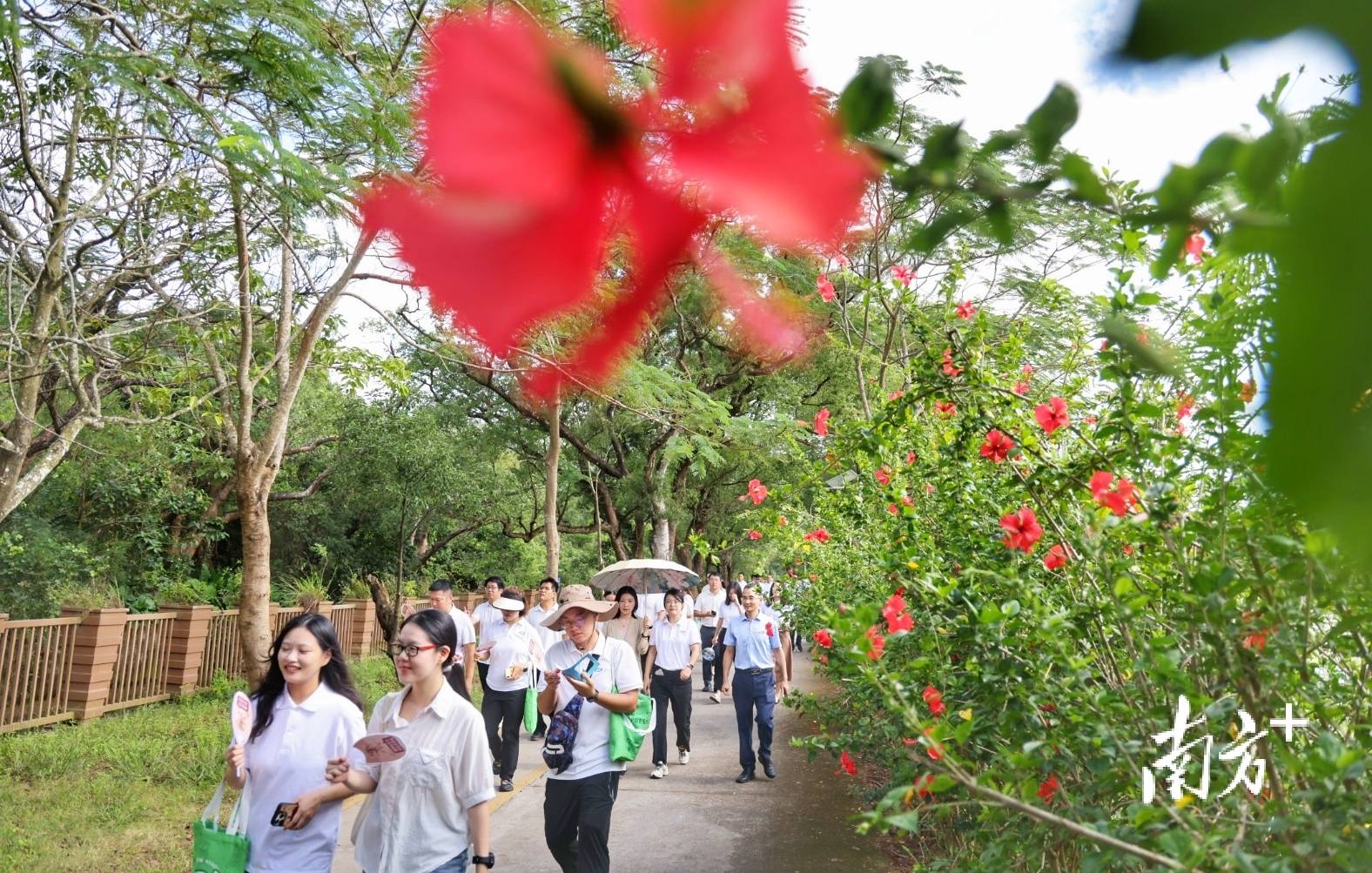 中山城建集团“连心桥”移交,村企共建绘就桂南新画卷