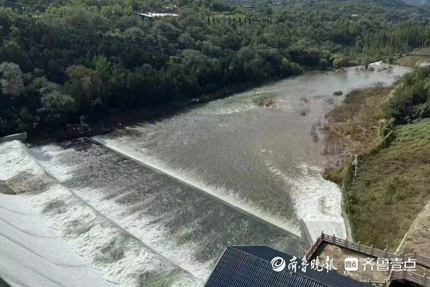 “鱼多得数不过来,一网子下去能捞好几条”济南锦绣川水库开闸放水,大量鲢鱼被冲出,工作人员:禁止捕捞!