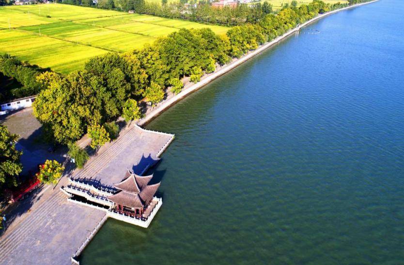 安徽寿县:安丰塘畔赏水韵 八公山下醉梨乡