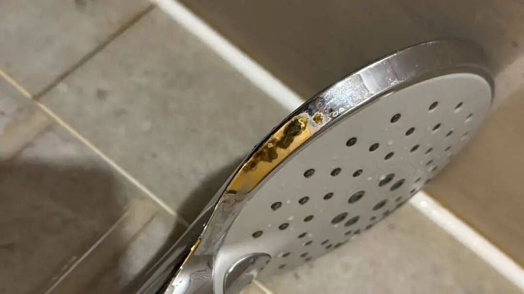 女子入住知名连锁酒店，洗完澡发现花洒上有粪便？酒店方回应