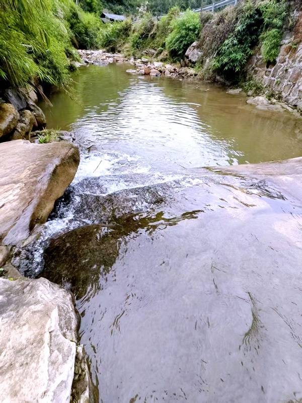 推窗见梯田!梧桐山民宿:把日子过成诗