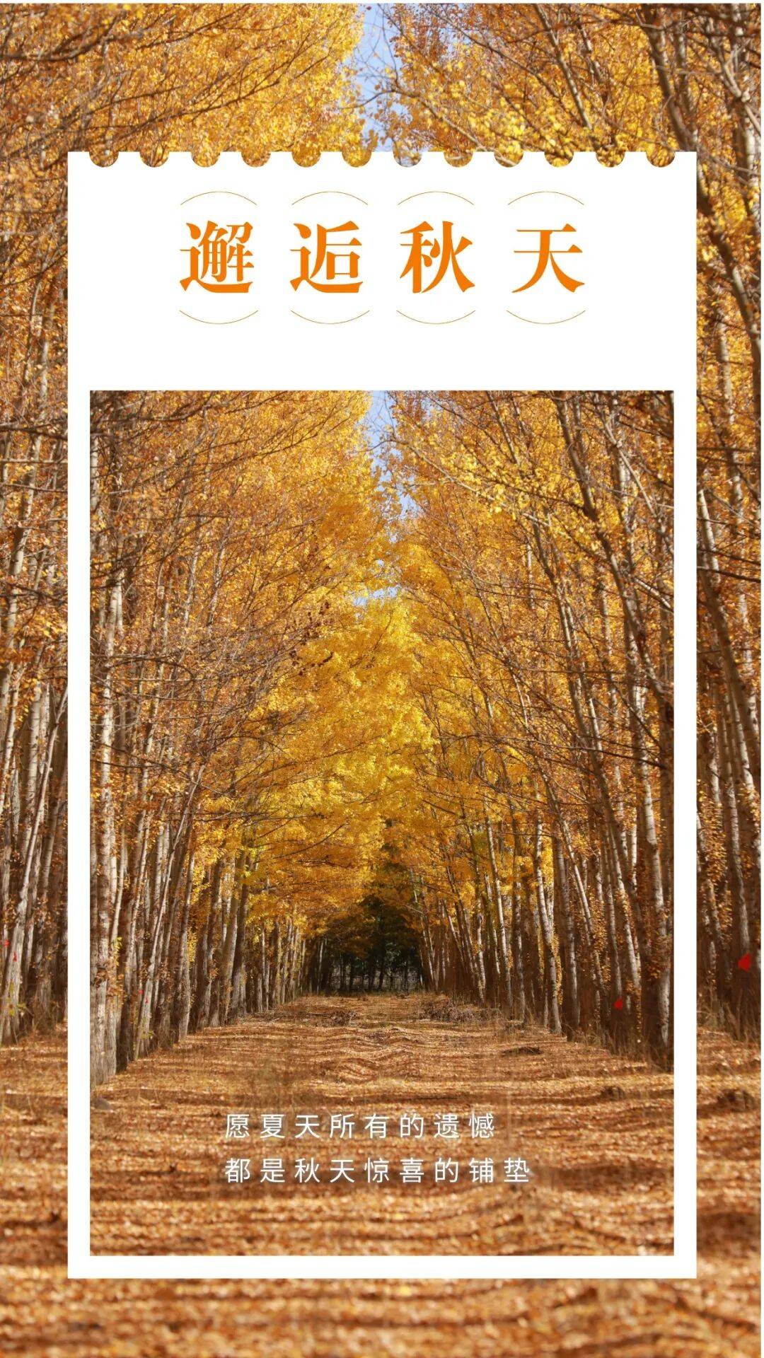 邂逅博州的秋天,从从容容游刃有余