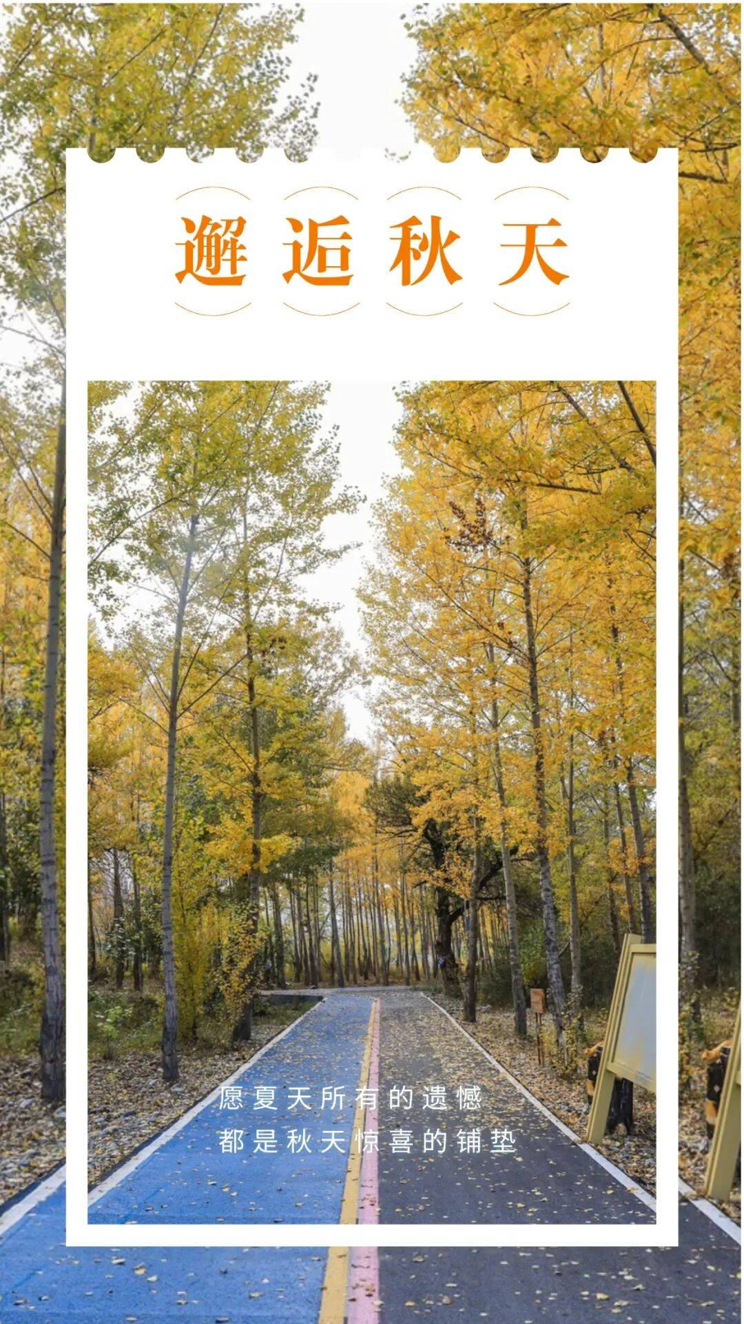 邂逅博州的秋天,从从容容游刃有余