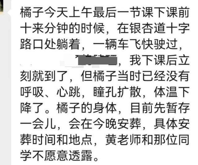 《红舞鞋》剧组在高校拍摄时撞死流浪猫,剧组凌晨致歉:涉事司机引咎辞职,将以小猫名字成立基金
