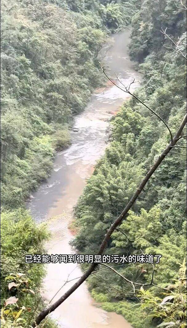 重庆通报:坚决查处,绝不姑息