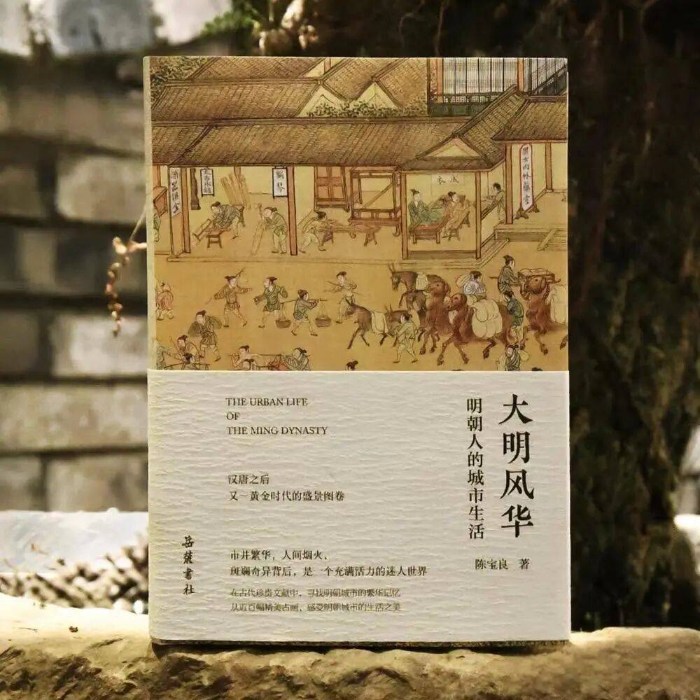 推荐读书架之《历史那些事儿》系列——明朝时期