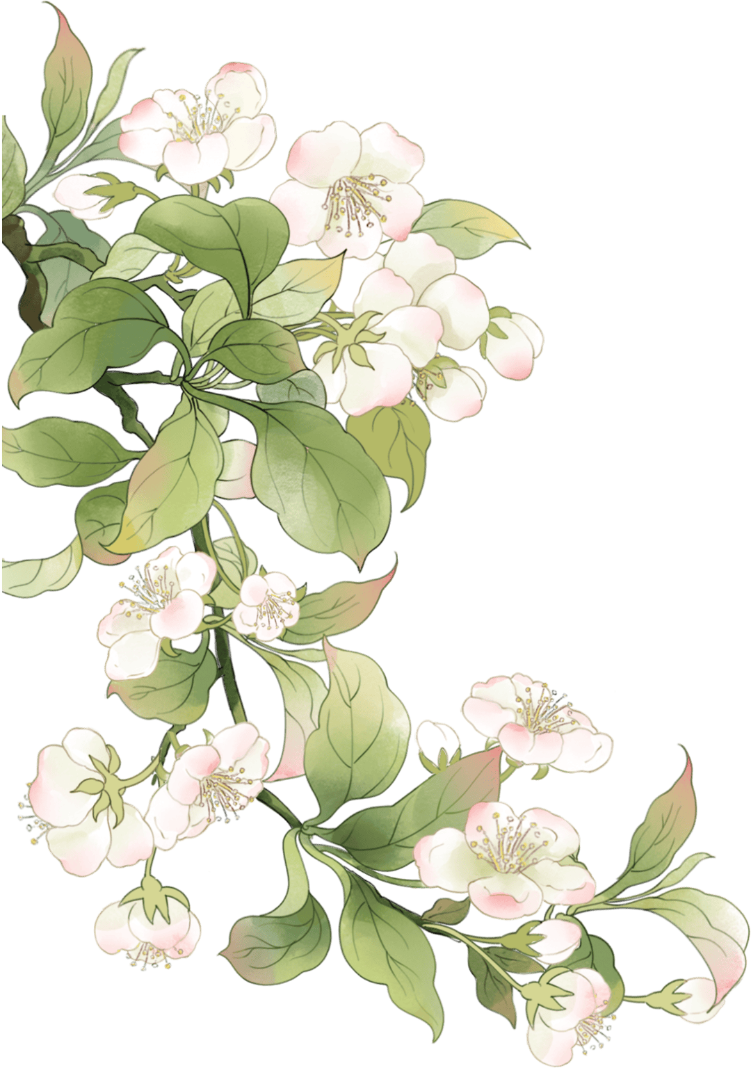 推荐读书架之《历史那些事儿》系列——明朝时期