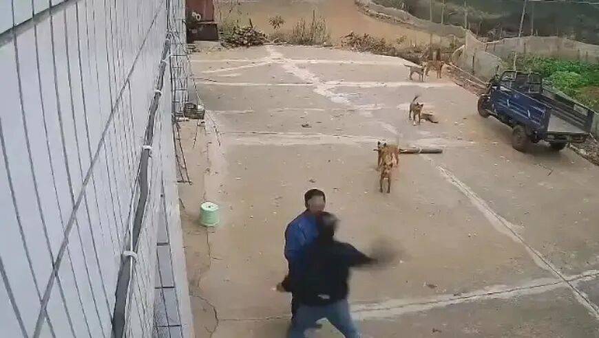 男子家门口吃橘子被邻居一拳打昏,警方通报:因养狗问题起冲突,均有受伤