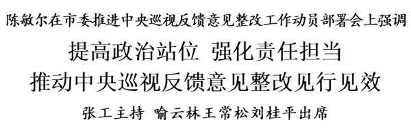 陈敏尔:提高政治站位,强化责任担当,推动中央巡视反馈意见整改见行见效