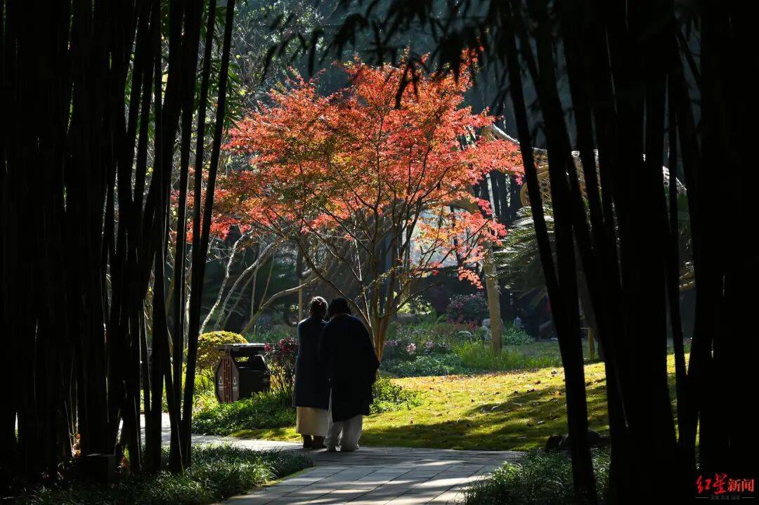 我国已进入拉尼娜状态！四川今冬或“前暖后冷”